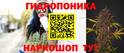 тгк Кунгур